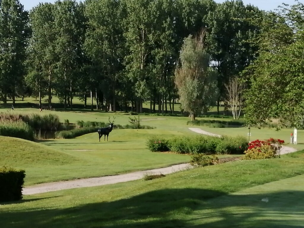 COVID NOUVELLES MESURES