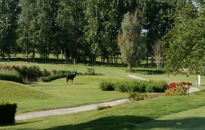 COVID NOUVELLES MESURES