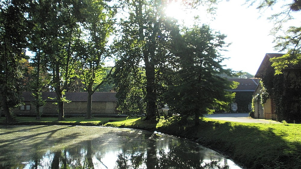 WEEK EN CHAMPAGNE 08 2016