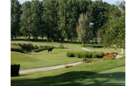 COVID NOUVELLES MESURES